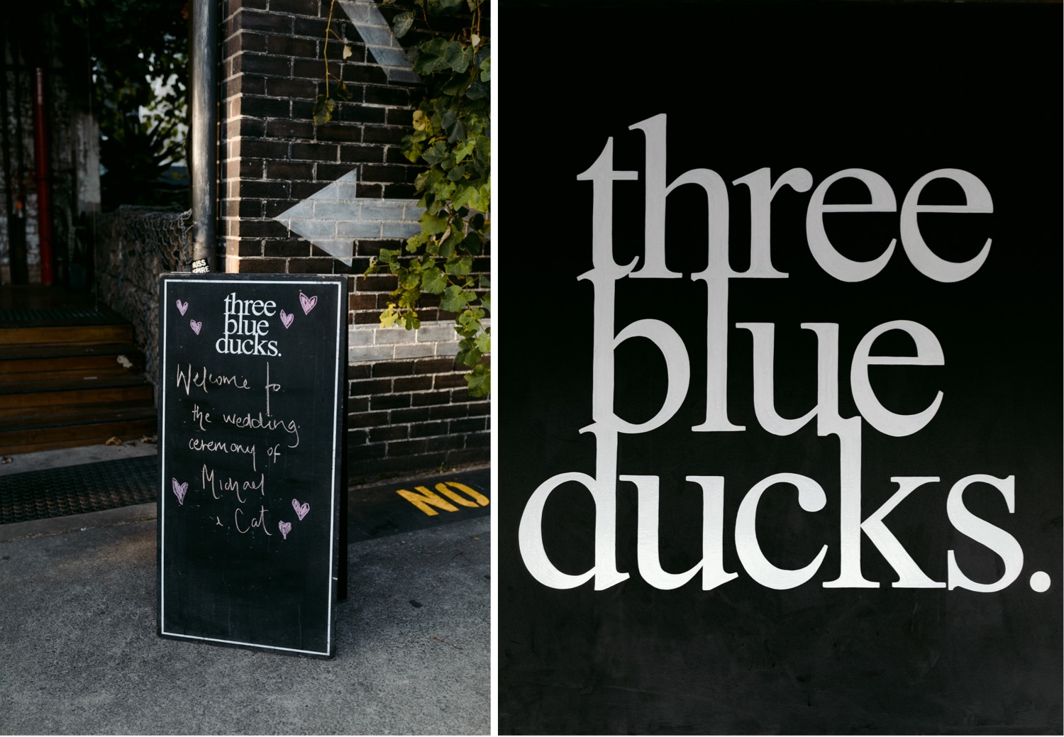 three blue ducks rosebery sign and wedding sign